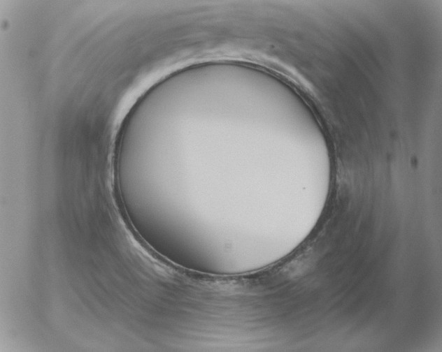 X0000055511512200509022044