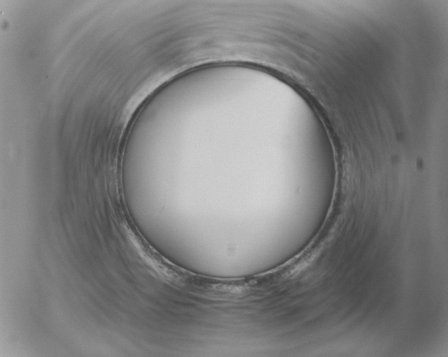 X0000055511513200509022044