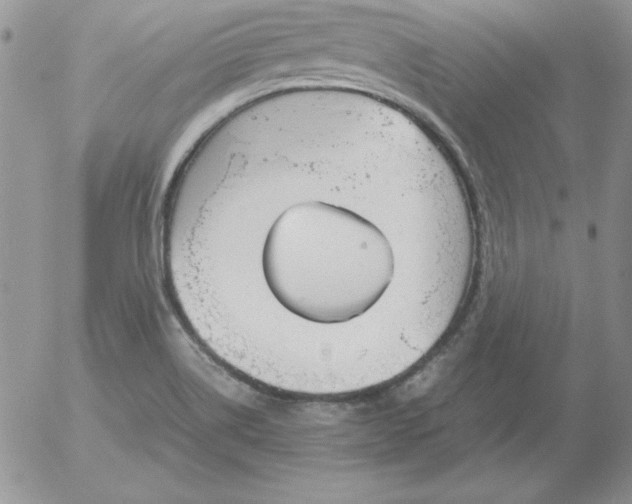 X0000055511514200509022044