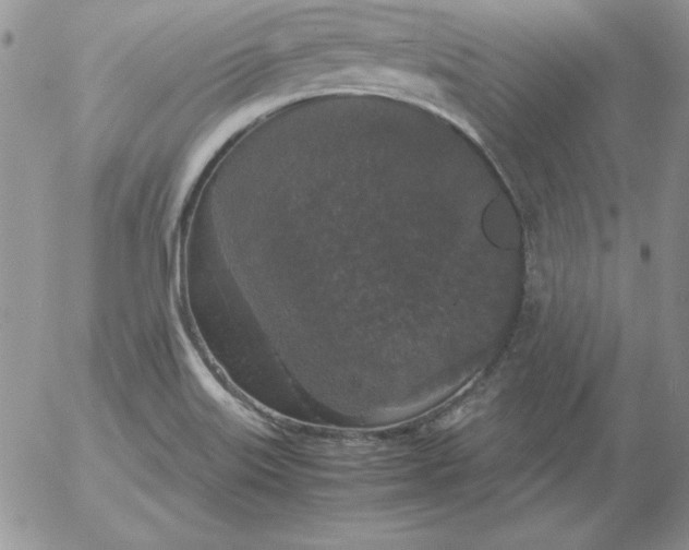 X0000055511515200509022044