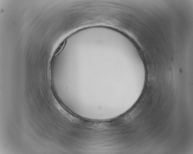 X0000055511516200509022044