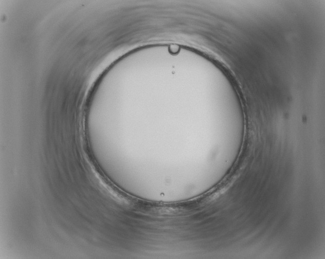 X0000055511517200509022044