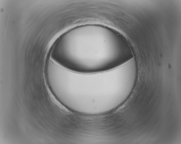 X0000055511518200509022044