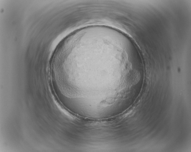 X0000055511519200509022044