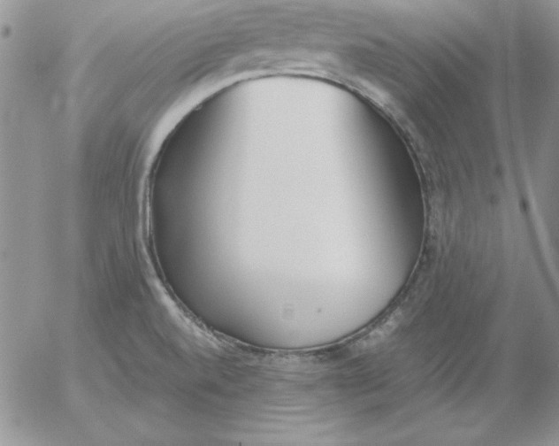 X0000055511520200509022044