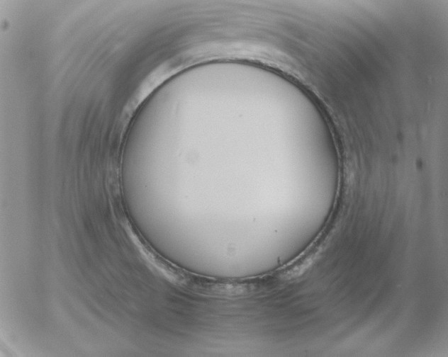 X0000055511521200509022044