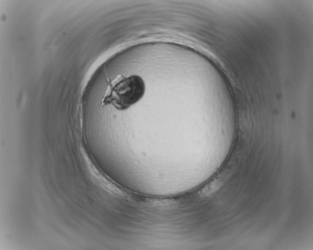 X0000055511522200509022044