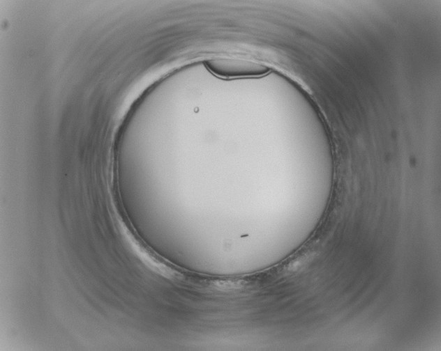 X0000055511523200509022044