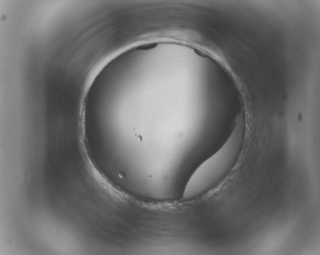 X0000055511524200509022044