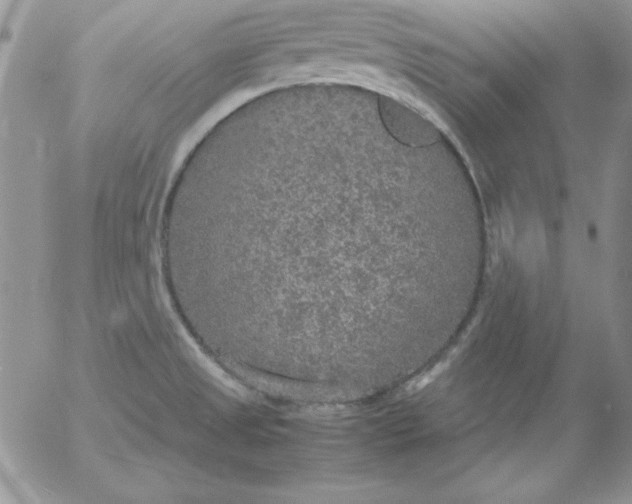 X0000055511525200509022044