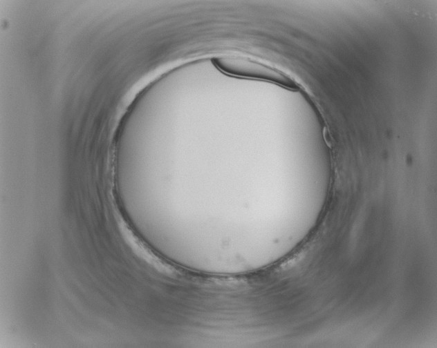 X0000055511526200509022044