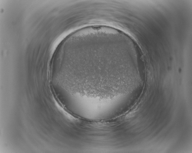 X0000055511527200509022044