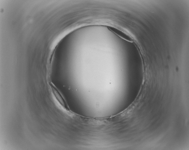 X0000055511528200509022045