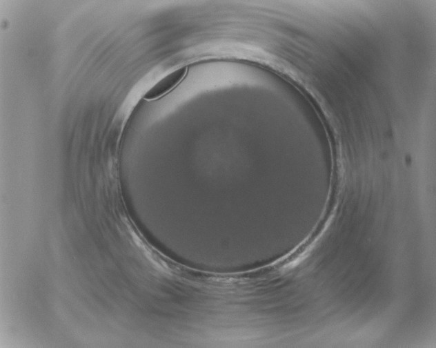 X0000055511529200509022045