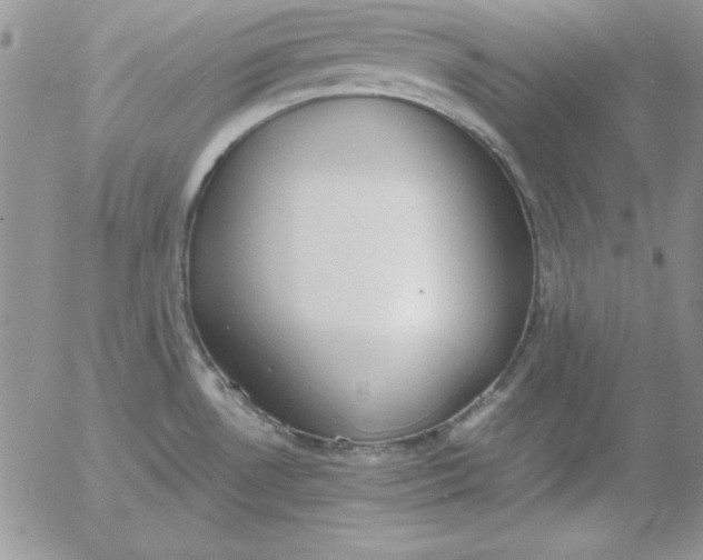 X0000055511530200509022045