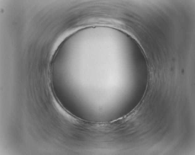 X0000055511531200509022045