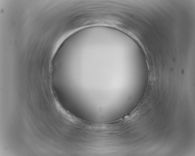 X0000055511532200509022045