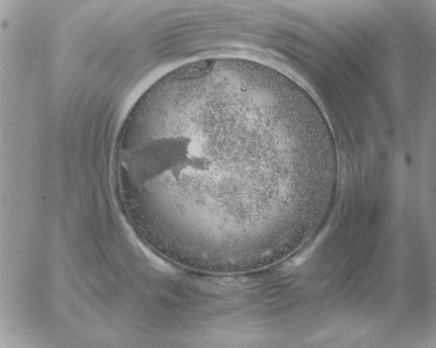 X0000055511533200509022045