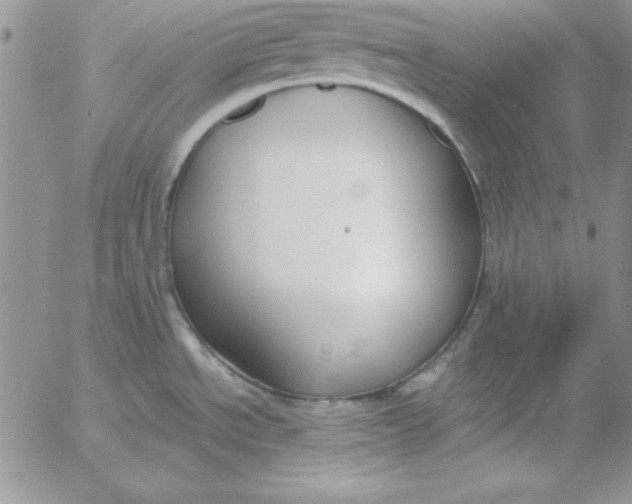 X0000055511534200509022045