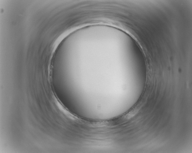 X0000055511535200509022045