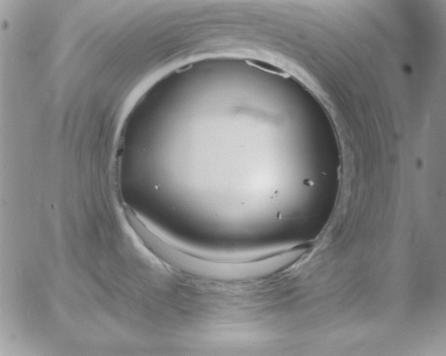 X0000055511536200509022045