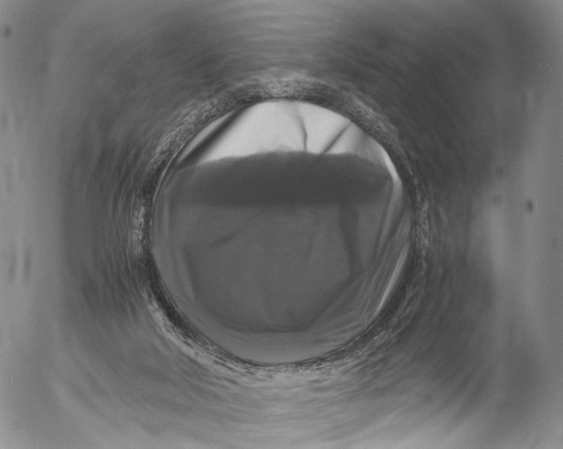 X0000055510018200509091353
