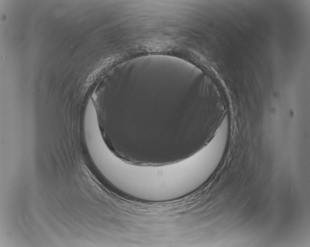 X0000055510019200509091353