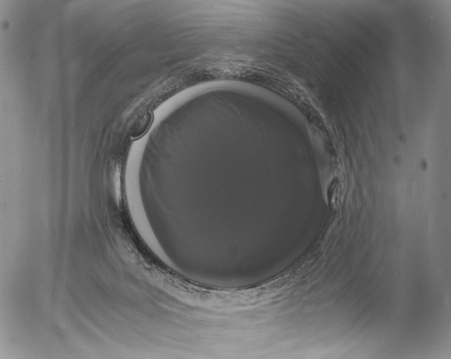 X0000055510027200509091353