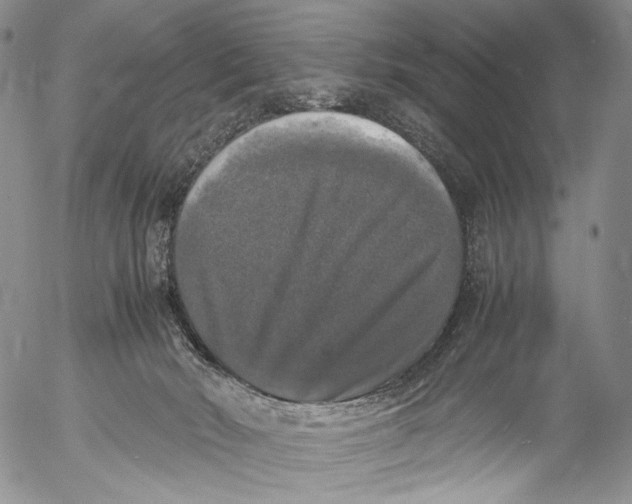 X0000055510030200509091353