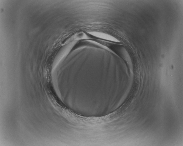 X0000055510031200509091353