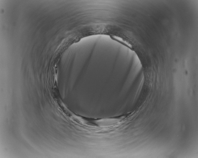 X0000055510035200509091353