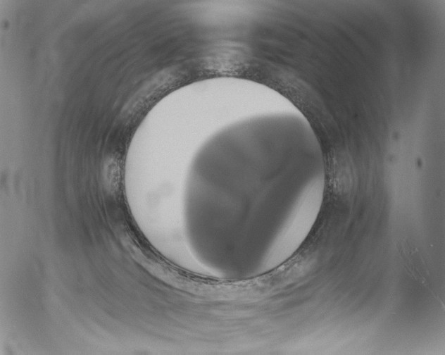 X0000055510036200509091353