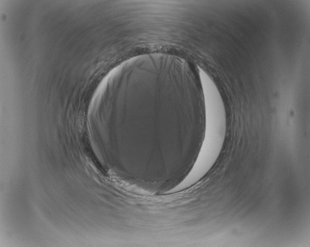 X0000055510039200509091353