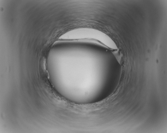 X0000055510041200509091353