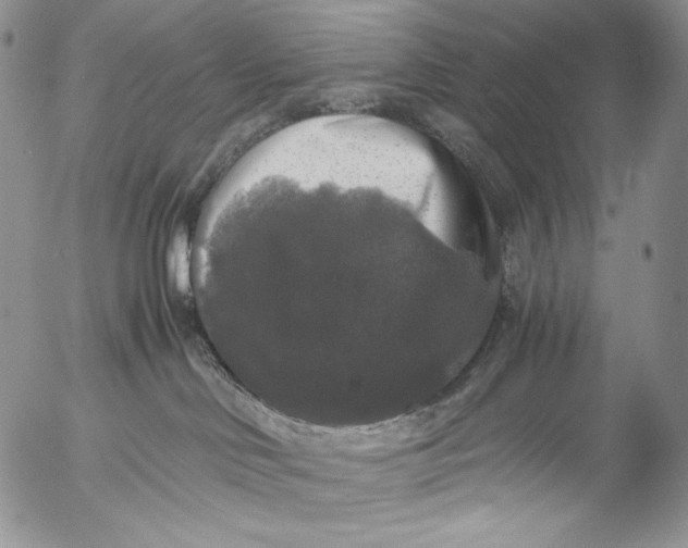 X0000055510046200509091353