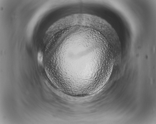 X0000055510047200509091353