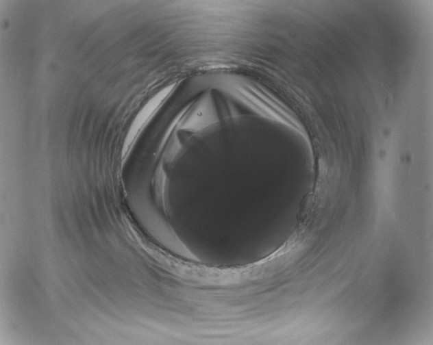 X0000055510048200509091353