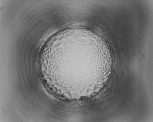 X0000055510050200509091352