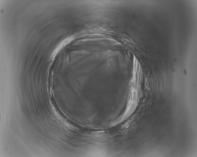 X0000055510054200509091352