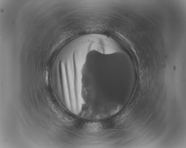 X0000055510067200509091353
