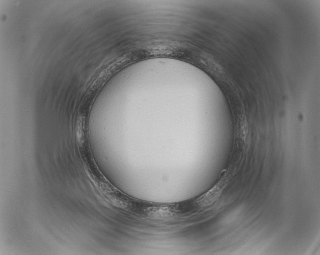 X0000055510074200509091353