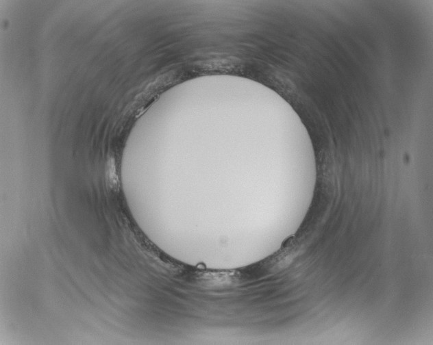 X0000055510089200509091353