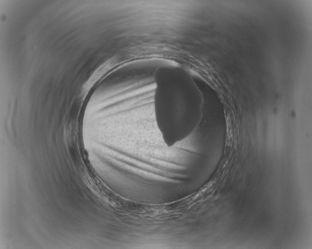 X0000055510099200509091352