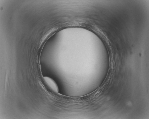 X0000055510107200509091352
