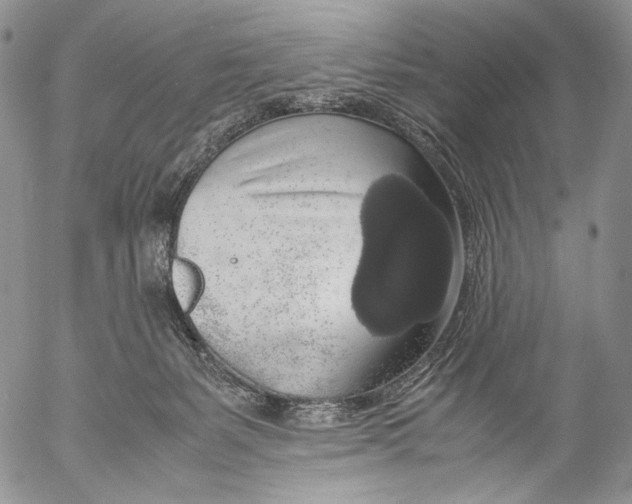 X0000055510127200509091352
