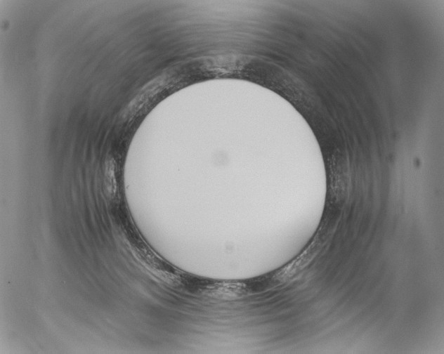 X0000055510128200509091352