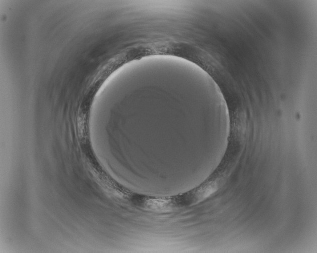 X0000055510139200509091352
