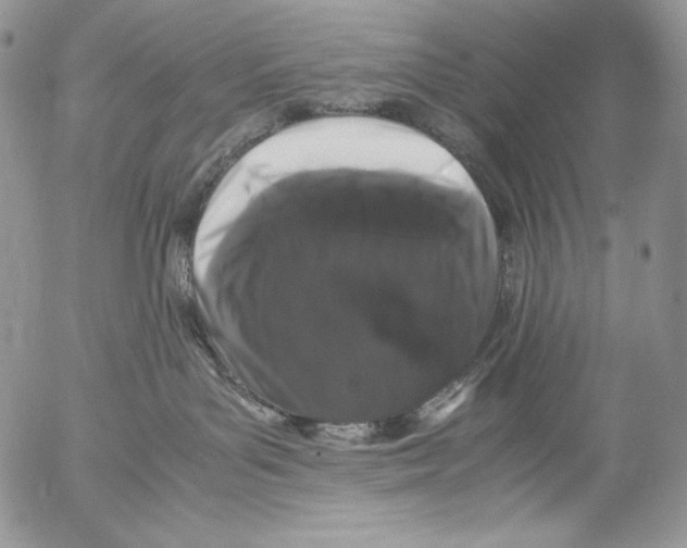 X0000055510143200509091351