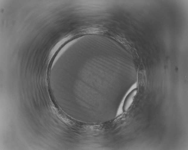 X0000055510147200509091351