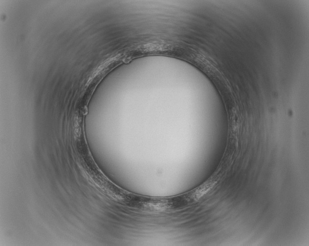 X0000055510164200509091351
